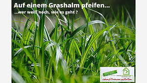 Auf einem Grashalm pfeifen