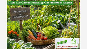 Gartenmonat: August