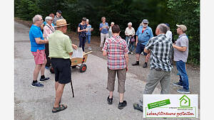 Wald im Wandel