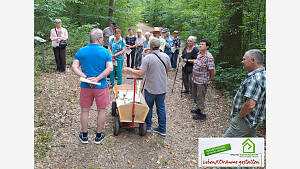 Wald im Wandel