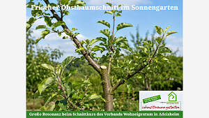 Sommerschnitt leicht gemacht - Große Resonanz beim Schnittkurs des Verbands Wohneigentum in Adelsheim