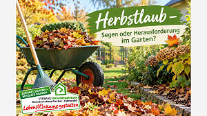 Herbstlaub - ein Problem im Garten ?