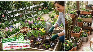 Blumenzwiebeln pflanzen: 8 kreative Ideen für Garten und Balkon
