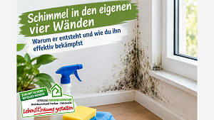Schimmel in den eigenen vier Wänden