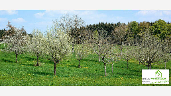 Themenbild: Abstände auf Streuobstwiesen Themenbild: Abstände auf Streuobstwiesen