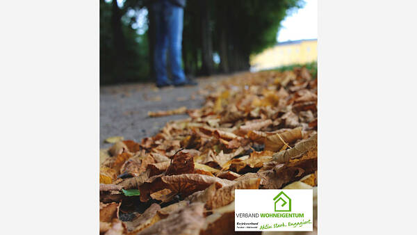 Themenbild: Herbstlaub - ein Problem auf dem Gehsteig ? Themenbild: Herbstlaub - ein Problem auf dem Gehsteig ?