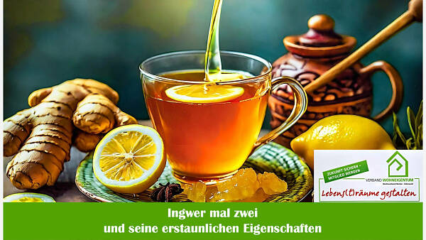 Themenbild: Ingwer mal zwei Themenbild: Ingwer mal zwei