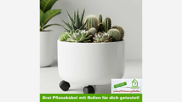 Themenbild: Pflanzkübel mit Rollen Themenbild: Pflanzkübel mit Rollen