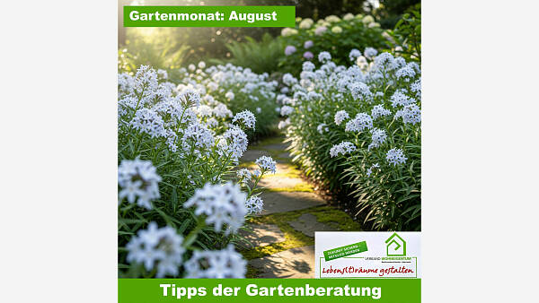 Themenbild: Gartenmonat: August