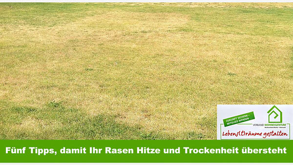 Themenbild: Fünf Tipps, damit Ihr Rasen Hitze und Trockenheit übersteht
