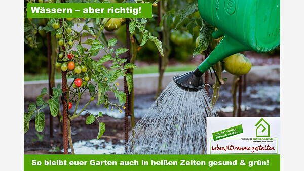 Themenbild: So wässern sie richtig