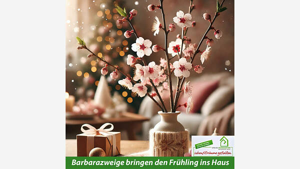 Themenbild: Barbarazweige bringen den Frühling ins Haus