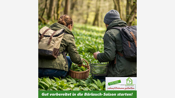 Themenbild: Gut vorbereitet in die Bärlauch-Saison starten