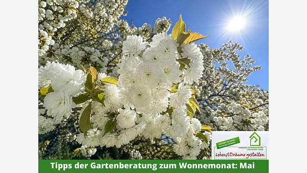 Themenbild: Gartenmonat: Mai