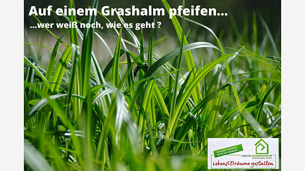 Themenbild: Auf einem Grashalm pfeifen