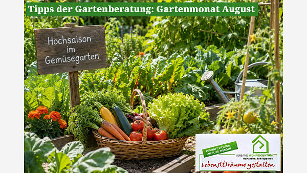Themenbild: Gartenmonat: August