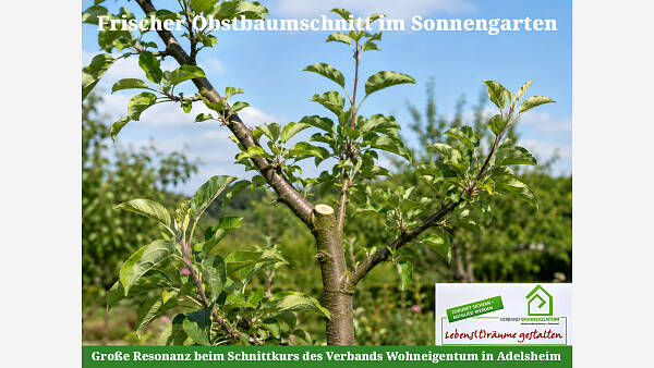 Themenbild: Sommerschnitt leicht gemacht - Große Resonanz beim Schnittkurs des Verbands Wohneigentum in Adelsheim