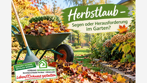 Themenbild: Herbstlaub - ein Problem im Garten ?