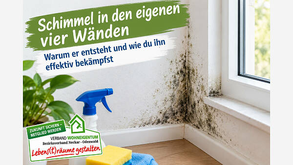 Themenbild: Schimmel in den eigenen vier Wänden