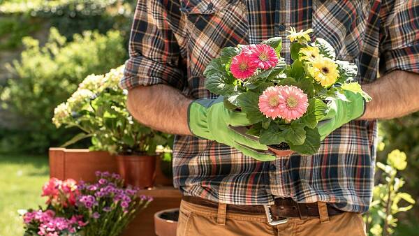 Themenbild: Gärtner mit Blumen in der Hand