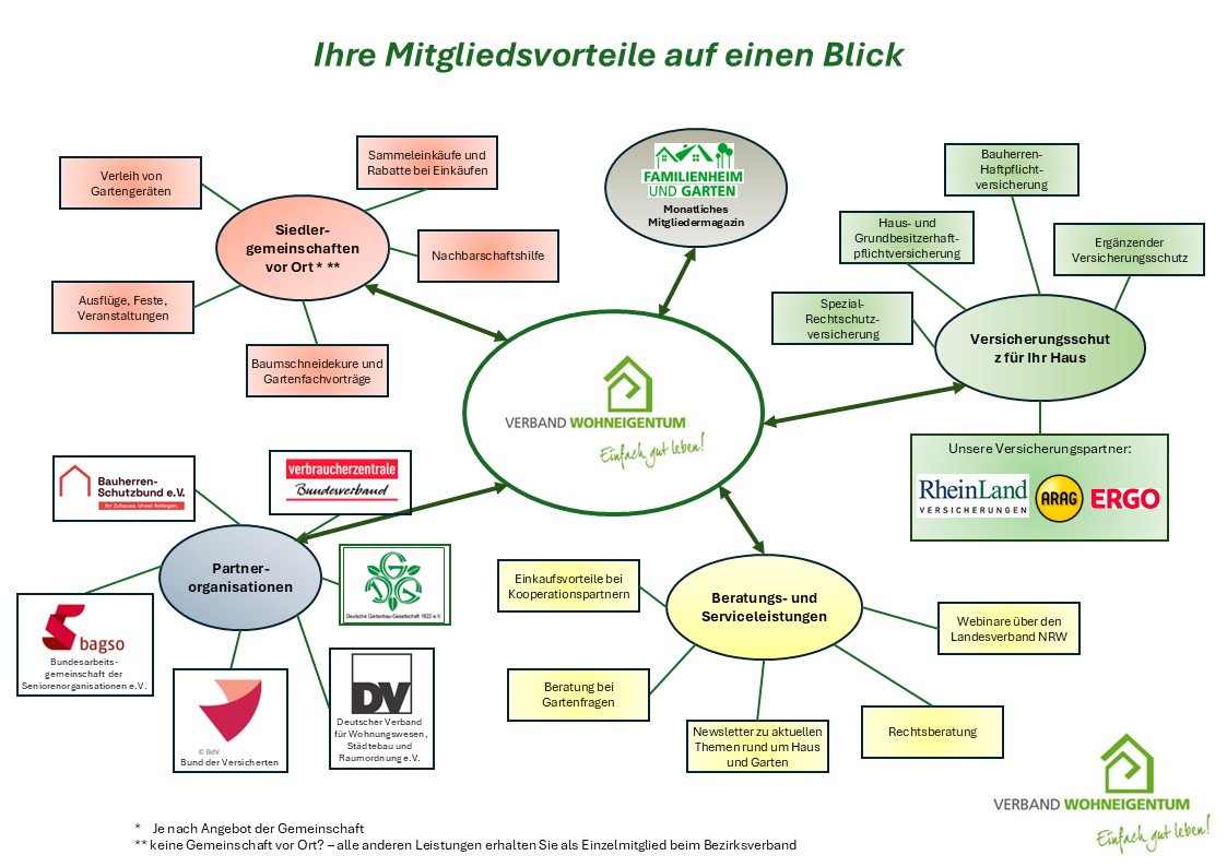 Schaubild Leistungen