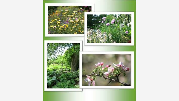 Themenbild: Gartenfotos