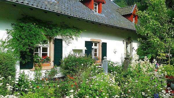 Themenbild: Haus mit Garten Themenbild: Haus mit Garten