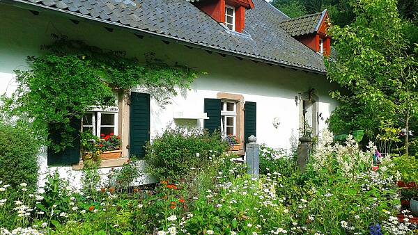 Themenbild: Haus mit Garten