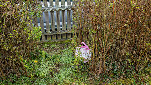 Osterhase 2026 - Nest