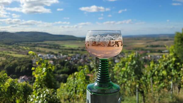 Themenbild: Weinbergswanderung