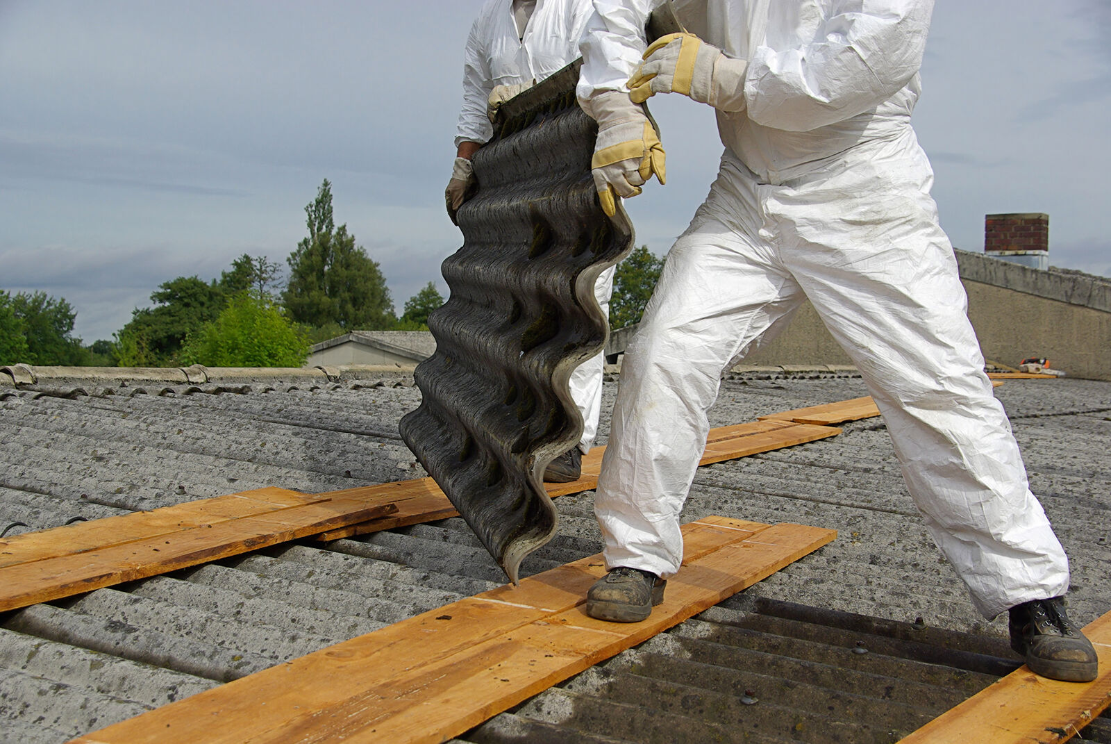 Ein Mann im weißen Schutzanzug entsorgt Asbestplatten von einem Dach.