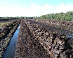 Torfabbau am Wietingsmoor