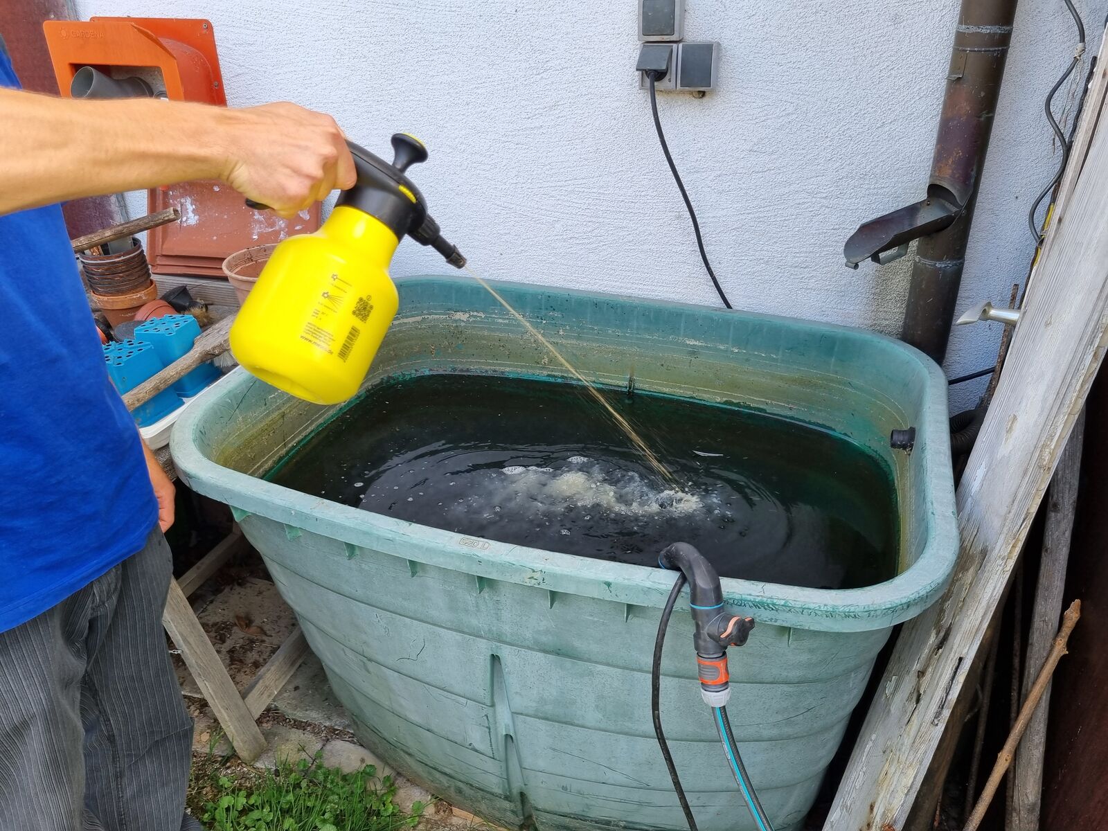 Bekämpfung Tigermücke mit Bazillus thuringiensis