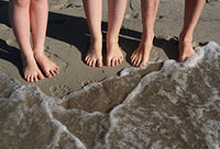Themenbild: Nordsee