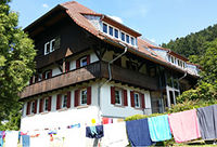 Themenbild: Schwarzwald