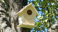 Themenbild: Vogelhaus