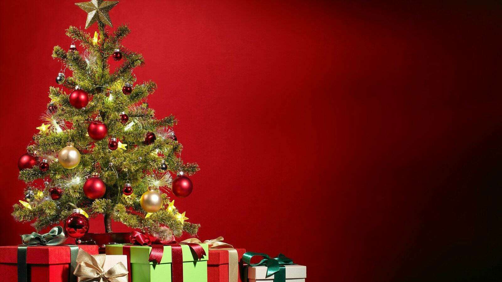 Weihnachtsbaum besser mit Ballen oder Topf? Verband Wohneigentum e. V.