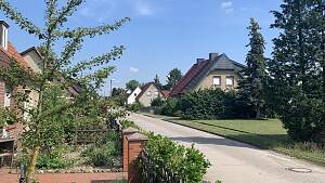 Ein Straßenzug mit Einfamilienhäusern unter blauem Himmel, im Vordergrund steht ein Baum