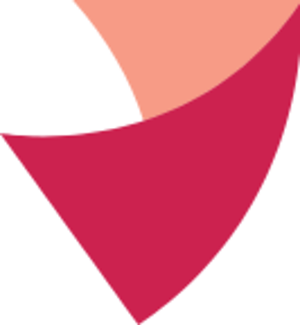 das Logo des BdV in rose und magenta
