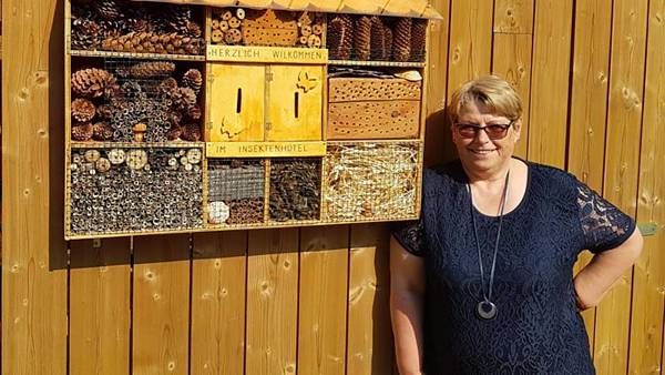 Themenbild: Nisthilfe für Insekten Themenbild: Nisthilfe für Insekten