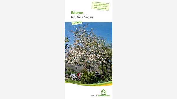 Themenbild: Faltblatt mit blühendem Baum