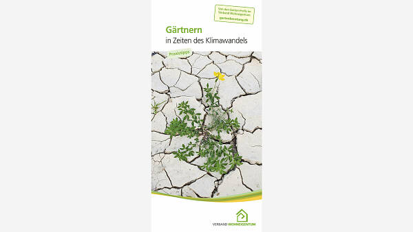 Themenbild: Faltblatt mit vertrockneter und rissiger Erde, aus der eine grüne Pflanze wächst.