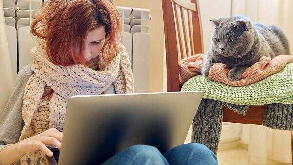 Themenbild: Frau vor Heizkörper mit Laptop und Katze