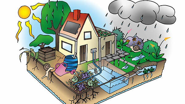 Themenbild: Grafik zeigt Umgang mit Wasser im Hausgarten