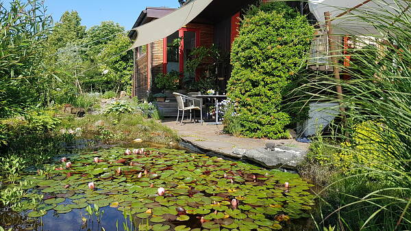 Themenbild: Haus mit naturnah gestaltetem Garten Themenbild: Haus mit naturnah gestaltetem Garten