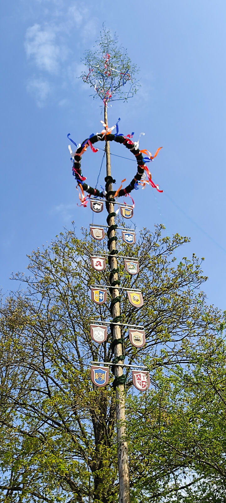 Maibaum 2022