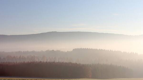 Themenbild: FOGHerbst