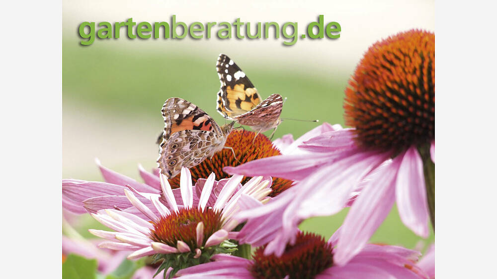 Gartenberatung