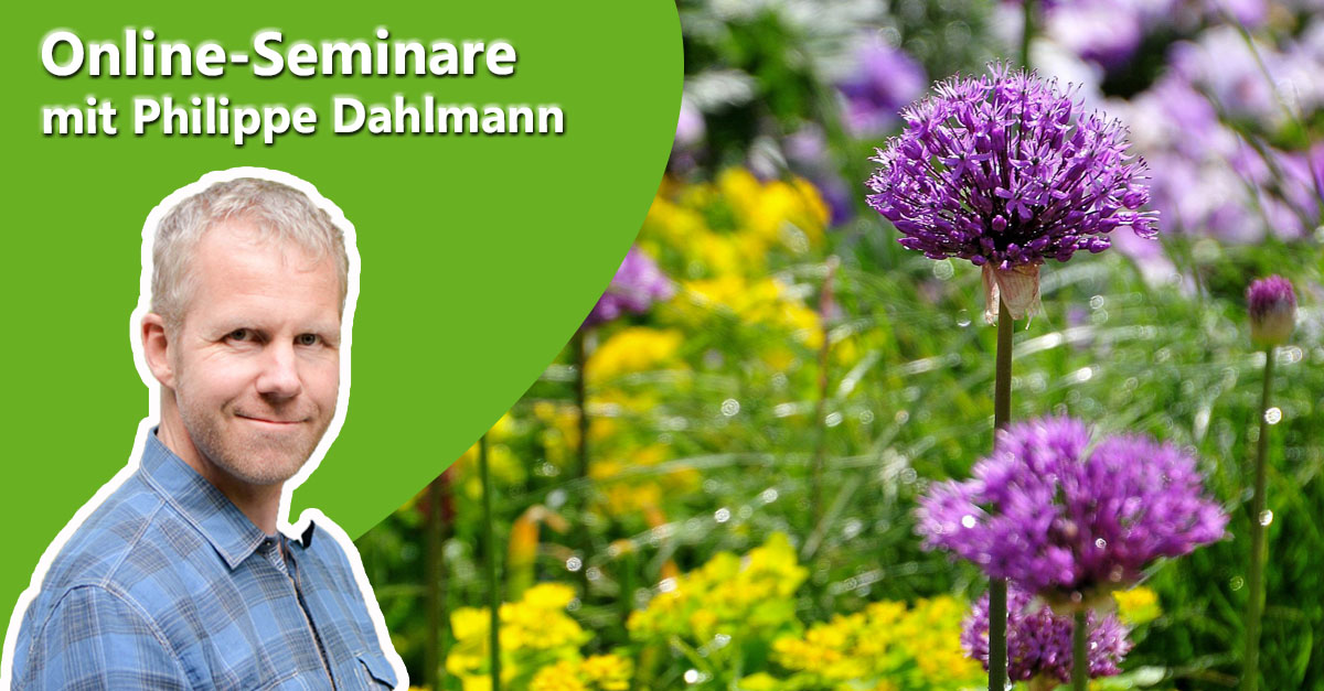 Philippe Dahlmann