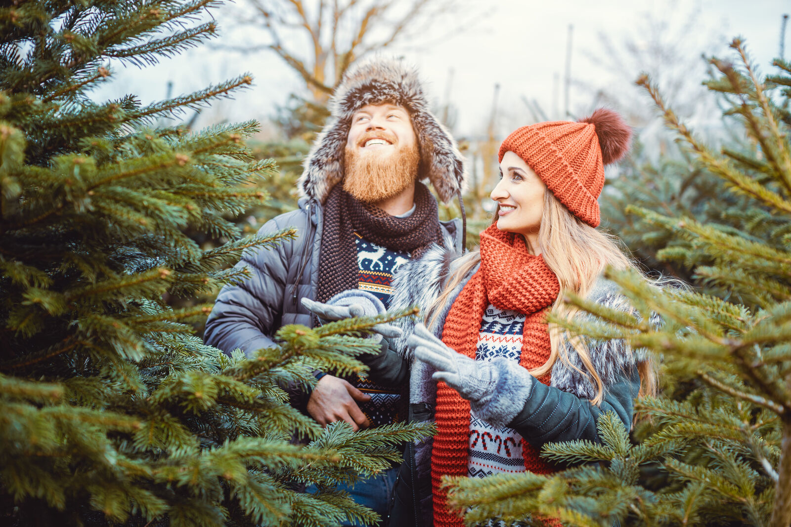 Paar kauft Weihnachtsbaum